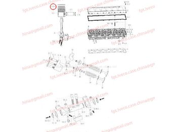 Piston/ Ring/ Bushing MAN