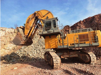 Crawler excavator LIEBHERR
