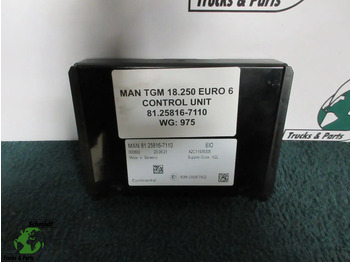 Electrical system MAN TGM
