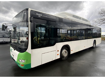 City bus MAN A 21 Lion´s City: picture 2 City bus MAN A 21 Lion´s City: picture 2