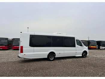 Minibus, Passenger van Mercedes-Benz Sprinter 519: picture 4