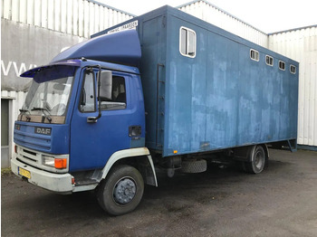 Box truck DAF 45 150