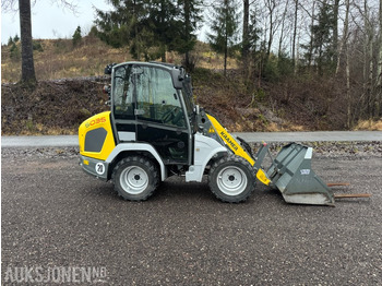 Wheel loader 2021 Kramer 5035 Hjullaster med skuffe og gafler: picture 4
