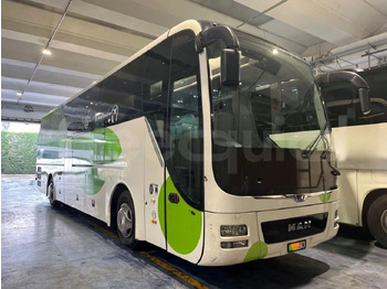 Coach MAN Lion's Coach