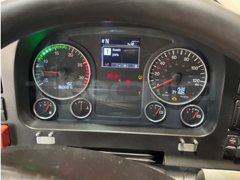 Coach Man Lion's Coach: picture 3 Coach Man Lion's Coach: picture 3