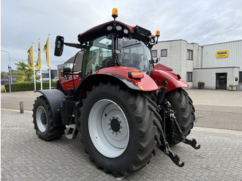 Case IH PUMA 240 CVX Stage V leasing Case IH PUMA 240 CVX Stage V: picture 2