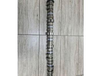 Camshaft RENAULT Premium
