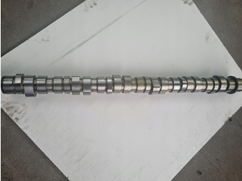 Camshaft RENAULT Magnum