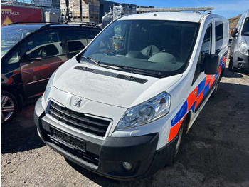 Panel van PEUGEOT Expert
