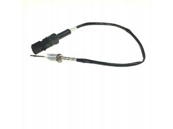 Muffler/ Exhaust system DAF