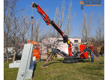 Mini crane