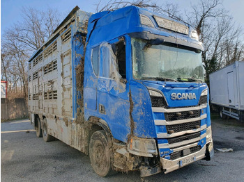 Livestock truck SCANIA R 580