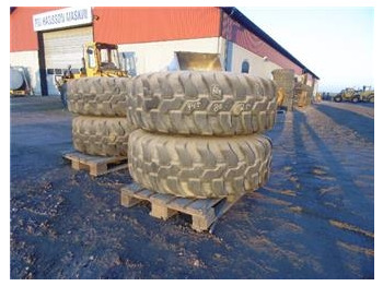 Wheel and tire package