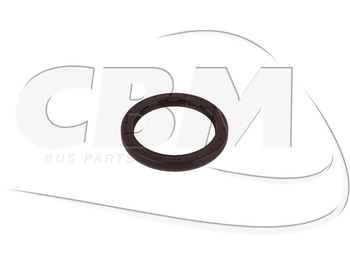 Differential gear IRISBUS