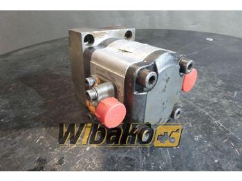 Hydraulic pump