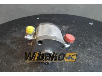 Hydraulic pump