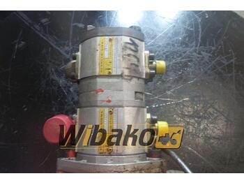 Hydraulic pump REXROTH