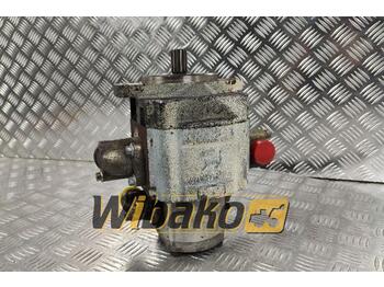 Hydraulic pump CASAPPA