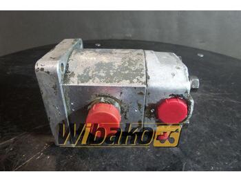 Hydraulic pump