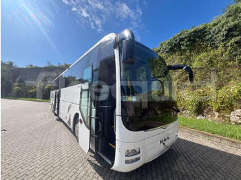 Coach MAN Lion's Coach