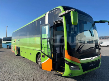 Coach MAN Lion's Coach