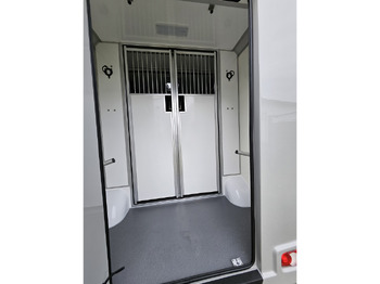 Opel Movano AKX by Stephex leasing Opel Movano AKX by Stephex: picture 4