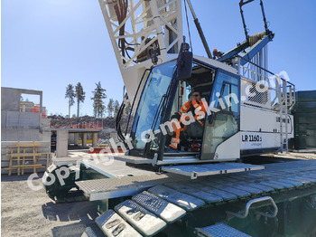 Crawler crane LIEBHERR LR 1160