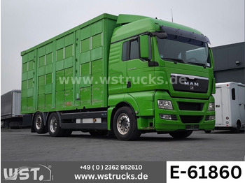Horse truck MAN TGX XL