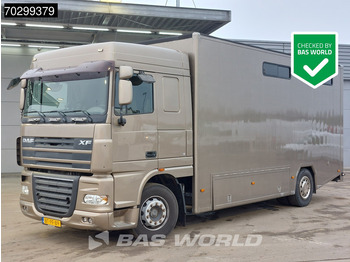 Horse truck DAF XF 105 410