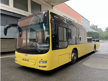 N.1 MAN LIONS CITY – Anno 2015 leasing N.1 MAN LIONS CITY – Anno 2015: picture 3