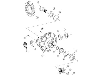 Differential gear CASE