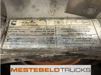 Engine for Truck DAF Motor: picture 5