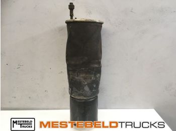 Frame/ Chassis SCANIA