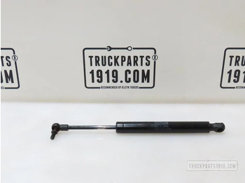 Body and exterior DAF