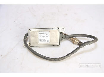 Muffler/ Exhaust system DAF