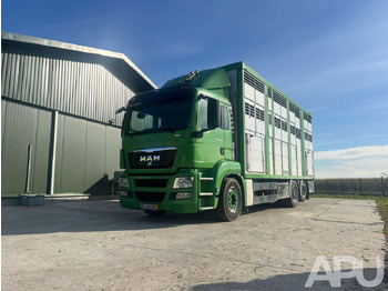 Livestock truck MAN TGS 26.440