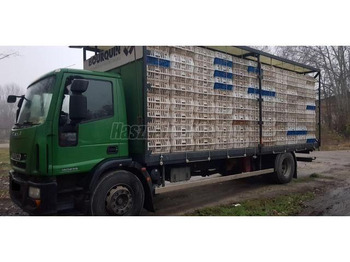 Livestock truck IVECO EuroCargo 180E