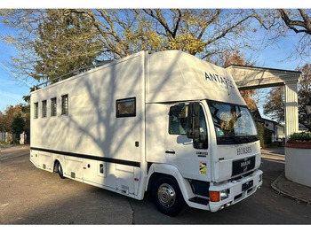 Horse truck MAN 10.224