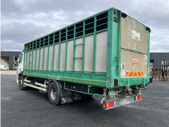 Horse truck DAF CF410: picture 4