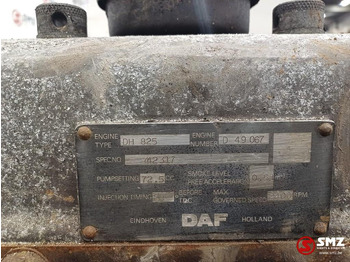 Engine for Truck DAF Occ motor DH825 DAF: picture 5