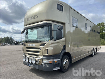 Horse truck SCANIA P 360