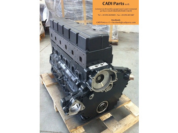 Engine MOTORE MAN D0836LFL65: picture 3