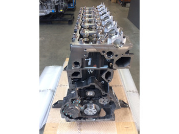 Engine MOTORE MAN D2066LOH32: picture 4