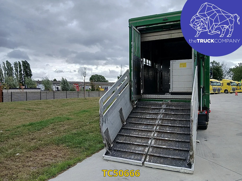 MAN TGX 460 - Livestock truck: picture 4 MAN TGX 460 - Livestock truck: picture 4