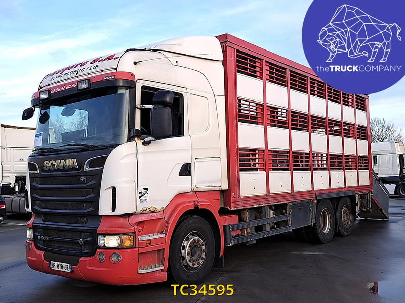 Scania R 500 - Livestock truck: picture 1 Scania R 500 - Livestock truck: picture 1