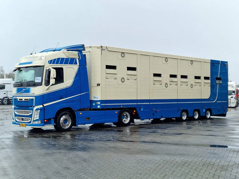 CUPPERS 2 deck livestock - Ventilation - Moving floors - 2x steering axle VSE + Volvo FH500 - Livestock semi-trailer: picture 3 CUPPERS 2 deck livestock - Ventilation - Moving floors - 2x steering axle VSE + Volvo FH500 - Livestock semi-trailer: picture 3