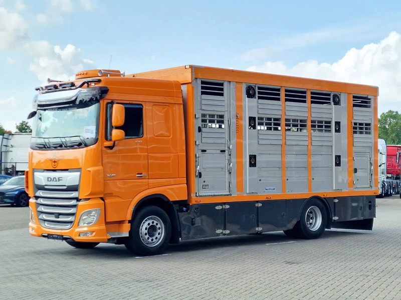 DAF XF 530 4x2 - Livestock Menke 2 deck water & ventilation - Livestock truck: picture 5 DAF XF 530 4x2 - Livestock Menke 2 deck water & ventilation - Livestock truck: picture 5