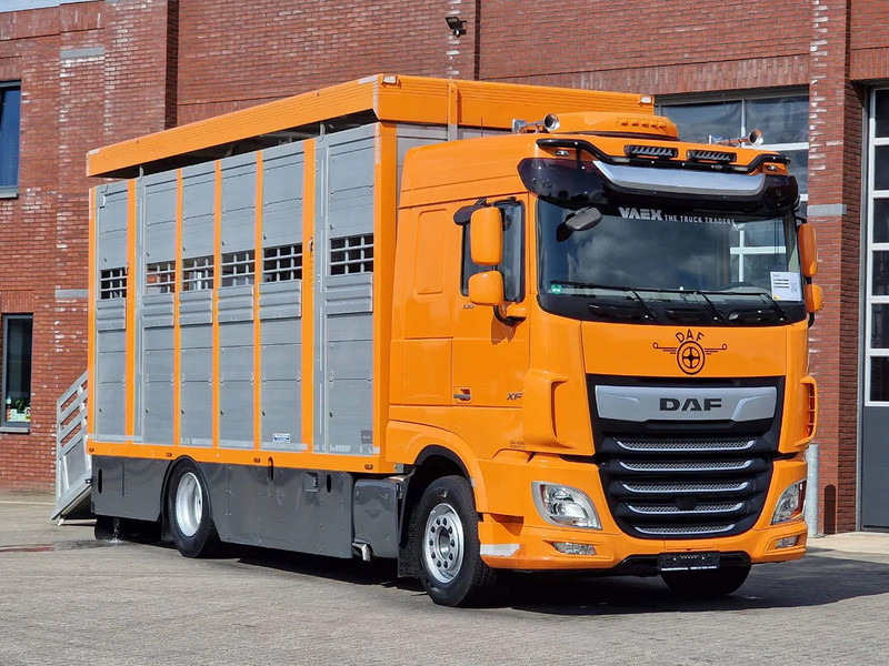 DAF XF 530 4x2 - Livestock Menke 2 deck water & ventilation - Livestock truck: picture 1 DAF XF 530 4x2 - Livestock Menke 2 deck water & ventilation - Livestock truck: picture 1