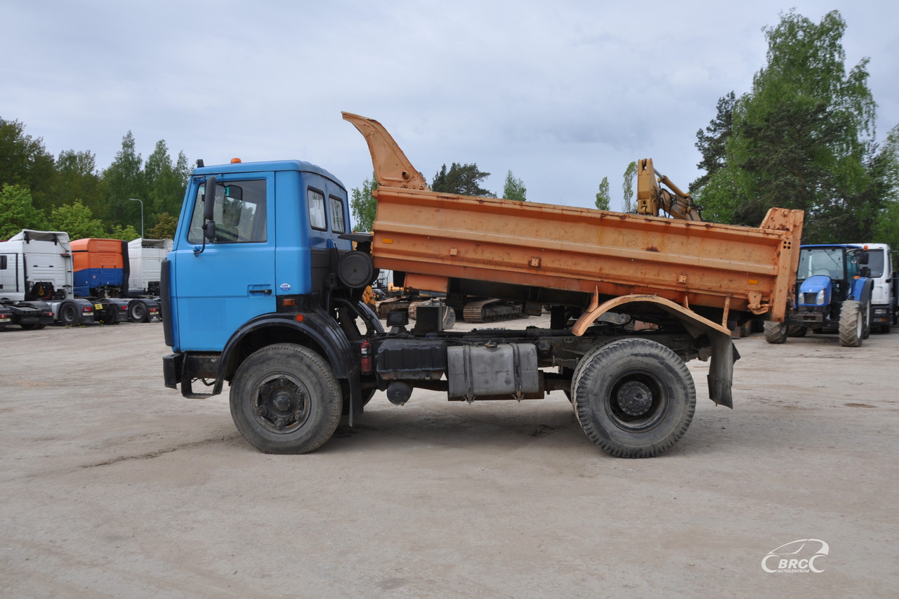 MAZ 5551 - Tipper: picture 3 MAZ 5551 - Tipper: picture 3