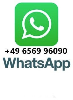 Iveco Trakker 330 EEV Winterdienst Abroll - Hook lift truck: picture 2 Iveco Trakker 330 EEV Winterdienst Abroll - Hook lift truck: picture 2